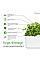 Сменный картридж Click and Grow Кориандр 8417 (3 капсулы)