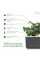 Змінний картридж Click and Grow Червона капуста Кейл 8752 (3 капсули)