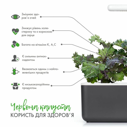Змінний картридж Click and Grow Червона капуста Кейл 8752 (3 капсули)
