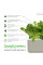 Змінний картридж Click and Grow Салат Ромен 8820 (3 капсули)