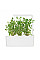 Змінний картридж Click and Grow Майоран 7571 (3 капсули)