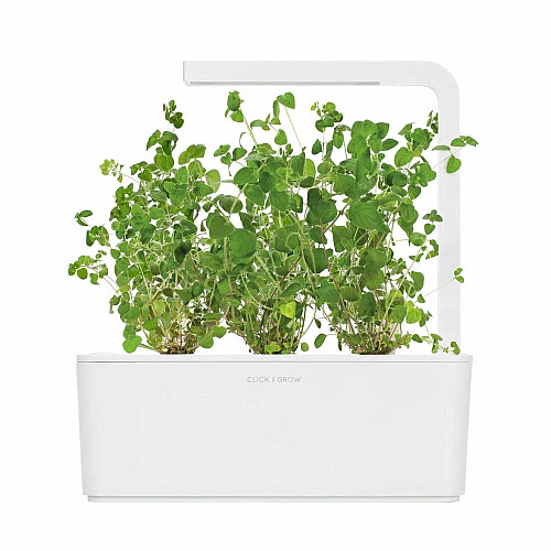 Змінний картридж Click and Grow Майоран 7571 (3 капсули)