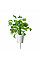 Сменный картридж Click and Grow Кориандр 8417 (3 капсулы)