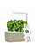 Гідропонна установка Click and Grow 7212 Smart Garden 3 Бежевий