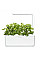 Сменный картридж Click and Grow Кориандр 8417 (3 капсулы)