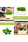 Гідропонна установка Click and Grow 7205 Smart Garden 3 Білий