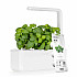 Гідропонна установка Click and Grow 7205 Smart Garden 3 Білий