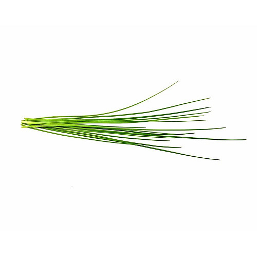 Змінний картридж Click and Grow Цибуля зелена 7540 (3 капсули)