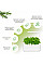 Гідропонна установка Click and Grow 7205 Smart Garden 3 Білий