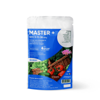 Удобрение Master (Мастер) 3-11-38 Valagro 250 г