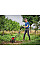 Культиватор електричний Einhell GC-RT 1545 М 1500Вт шир. 45см глиб. 22см 12.35кг