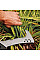 Зубчастий сікач Fiskars Solid™ CL-521 (1051233)