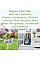 Метеостанція Bresser Smart Home 7-in-1 Weather Center ClimateConnect (7003600CM3000)