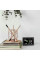 Метеостанція Technoline WL1028 Black (WL1028)
