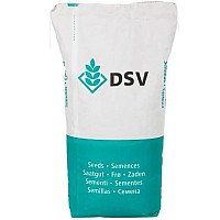 Костриця очеретяна / Festuca arundinacea TROUBADIX DSV 15 кг