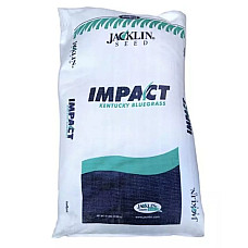 Тонконіг лучний Impact Jacklin Seed 1 кг (на вагу)