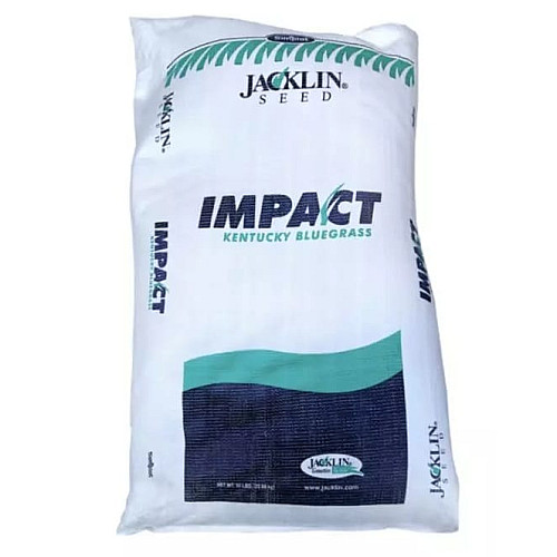 Тонконіг лучний Impact Jacklin Seed 1 кг (на вагу)