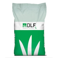 Костриця (вівсяниця) червона Максима 1 / Maxima 1 DLF Trifolium 1 кг (на вагу)