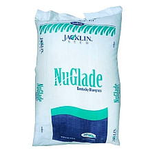 Тонконіг лучний NU GLADE Jacklin Seed 1 кг (*ваговий)