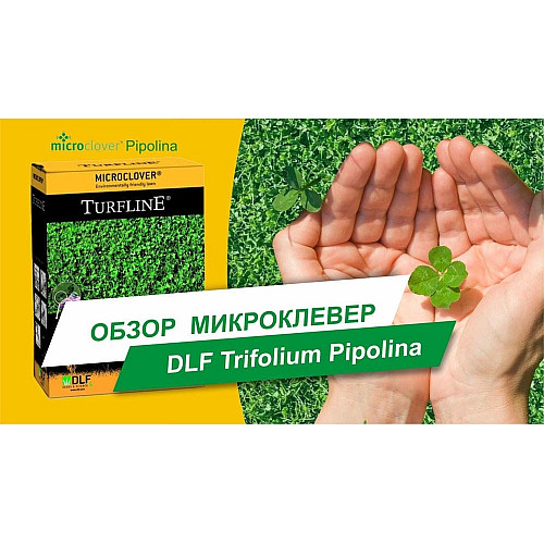 Мікроконюшина Піполіна / Pipolina DLF Trifolium 0,45 кг *12 шт