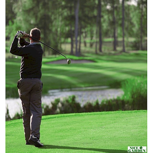 Газонна трава для гольф полів Гольфмастер / Golfmaster DLF Trifolium 10 кг
