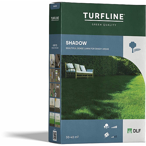 Газонна трава тіньовитривала Шедоу / Shadow DLF Trifolium 1 кг