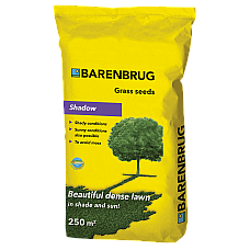 Газонна трава тіньовитривала Barenbrug Shadow 5 кг