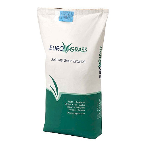 Газонна трава тіньовитривала Shady Lawn Euro Grass 5 кг