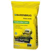 Газонная трава стойкая к нагрузкам Barenbrug Resilient Blue 5 кг