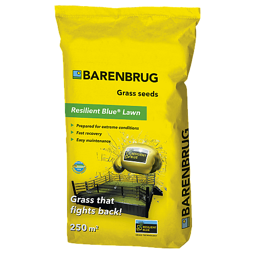 Газонна трава стійка до навантажень Barenbrug Resilient Blue 5 кг