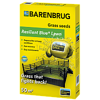 Газонна трава стійка до навантажень Barenbrug Resilient Blue 1 кг