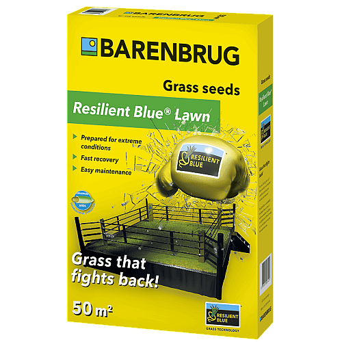 Газонна трава стійка до навантажень Barenbrug Resilient Blue 1 кг