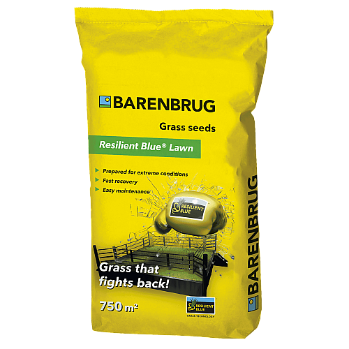 Газонна трава стійка до навантажень Barenbrug Resilient Blue 15 кг