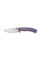 Ніж складаний туристичний Weknife Dracarys, (9.1 см) Böhler M390 / титан 6AL4V фіолетовий/золотий