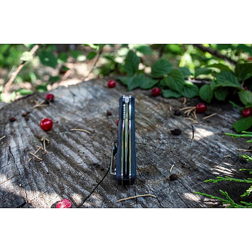 Нож складной Ruike Fang P105-Q