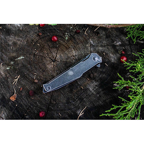 Ніж складаний Ruike P108-SB