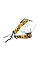 Multi Tool Ganzo G107 (G2016P)