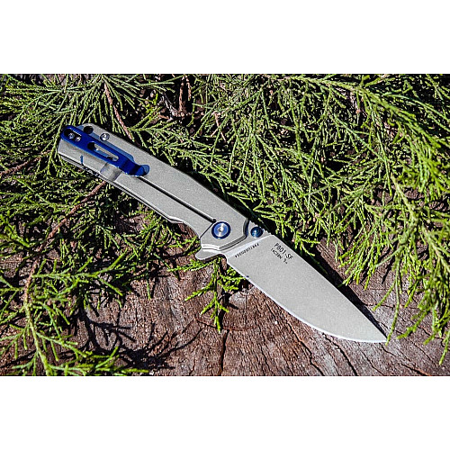 Ніж складаний Ruike P801-SF