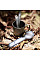 Столовий прилад NexTool Outdoor Spoon Fork NE0124