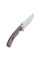 Ніж складаний туристичний Weknife Dracarys, (9.1 см) Böhler M390 / титан 6AL4V фіолетовий/золотий