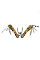 Multi Tool Ganzo G107 (G2016P)
