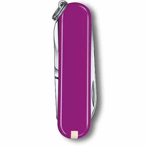 Ніж Victorinox Classic SD Colors Tasty Grape 58мм/7функ/фіолетовий
