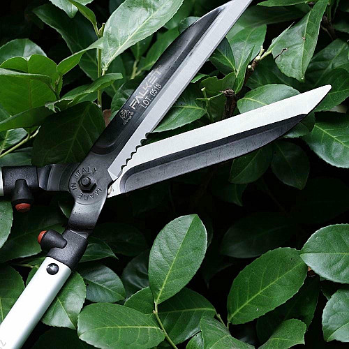Кусторез, 60 см, 1040 грамм, 240 мм лезвие C70 (58HRC), FALKET (FAL6022)