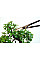Ножиці Okatsune Bonsai KST206 для бонсай