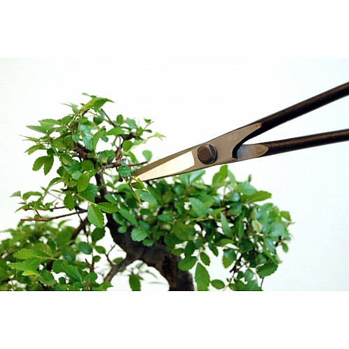 Ножиці Okatsune Bonsai KST206 для бонсай
