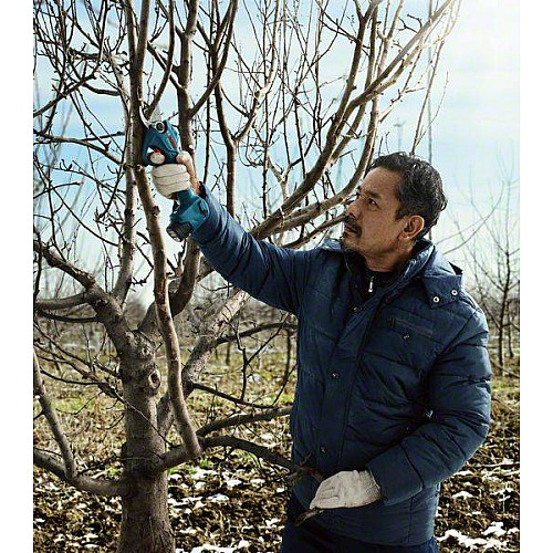 Секатор акумуляторний Bosch Professional Pruner, 12В, D різу 25мм, 1000гр, без АКБ та ЗП