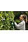 Кущоріз акумуляторний Bosch EasyHedgeCut 18-45 18В лезо 45см крок різу 15мм 3.02кг без АКБ та ЗП