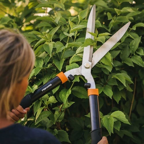 Кусторез Fiskars Solid HS21 для живой изгороди (1026827)