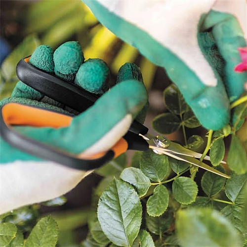 Ножиці Fiskars Solid SP15 для рослин (1051602)