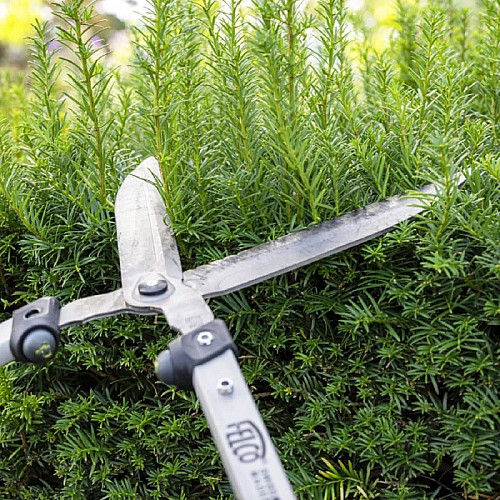Ножиці для кущів Felco 250-57 (кущоріз Фелко 250-57)